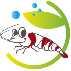 熱帯魚とシュリンプの専門店  ウインドミル87